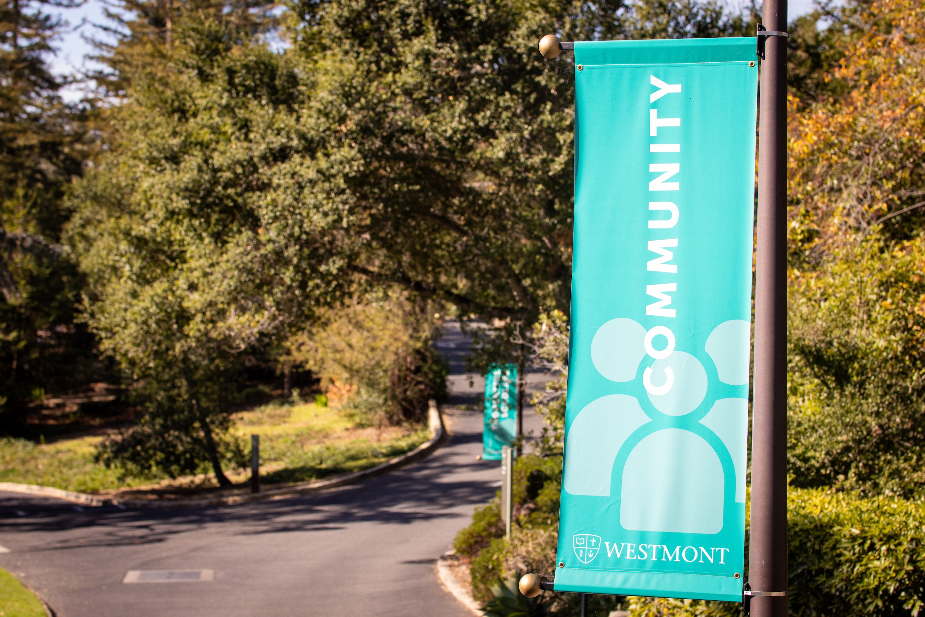 community banner on campus