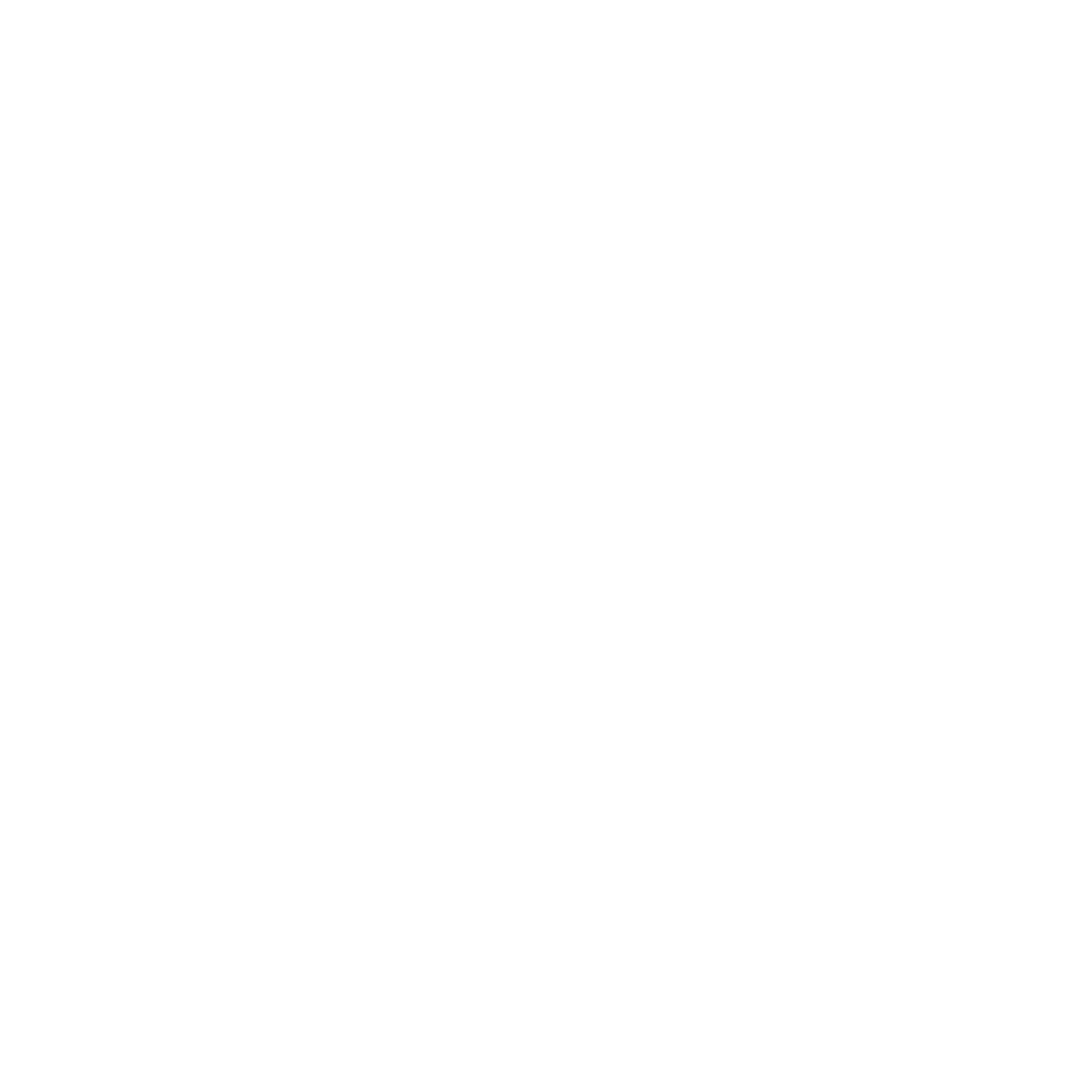 instagram icon white