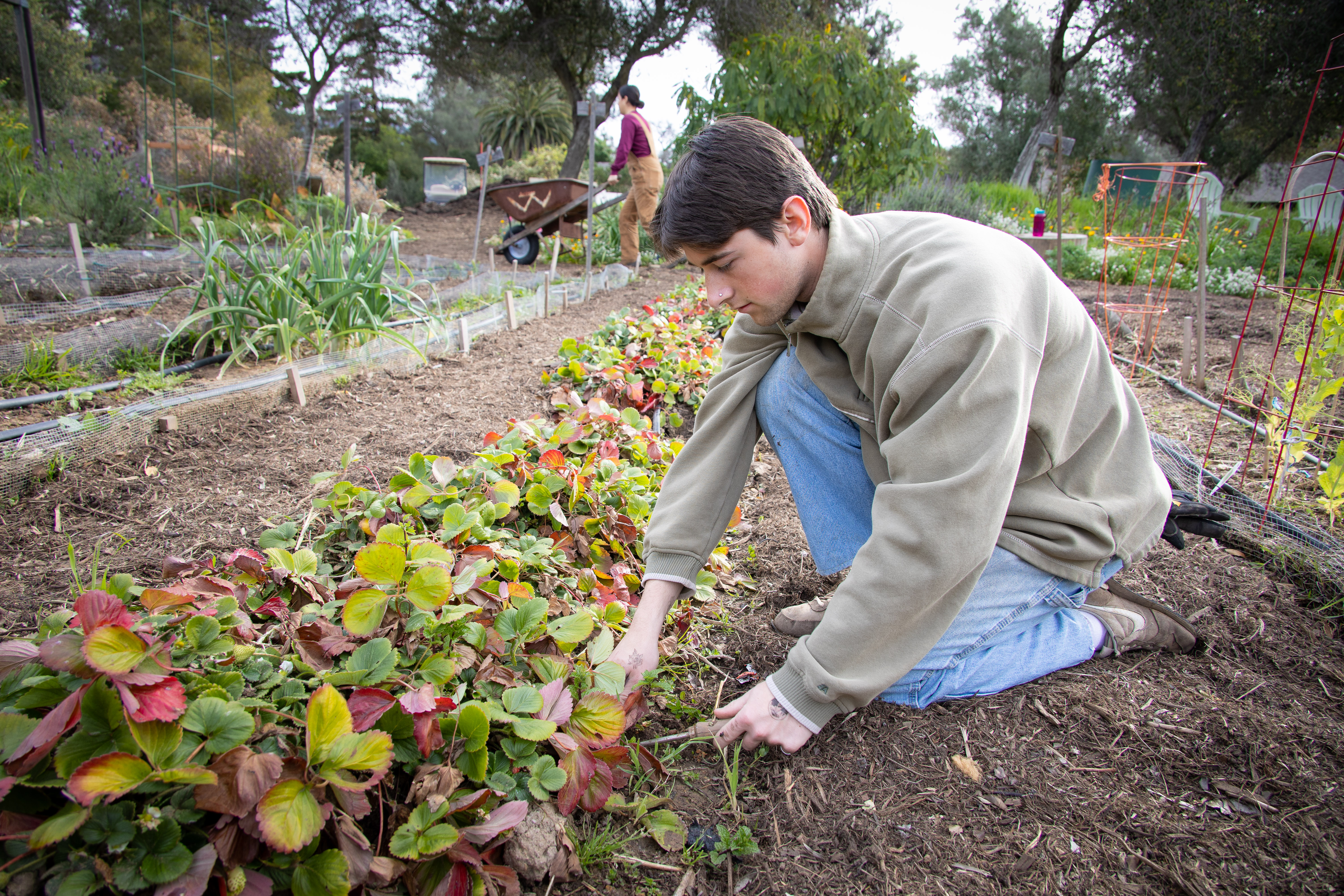 student gardening