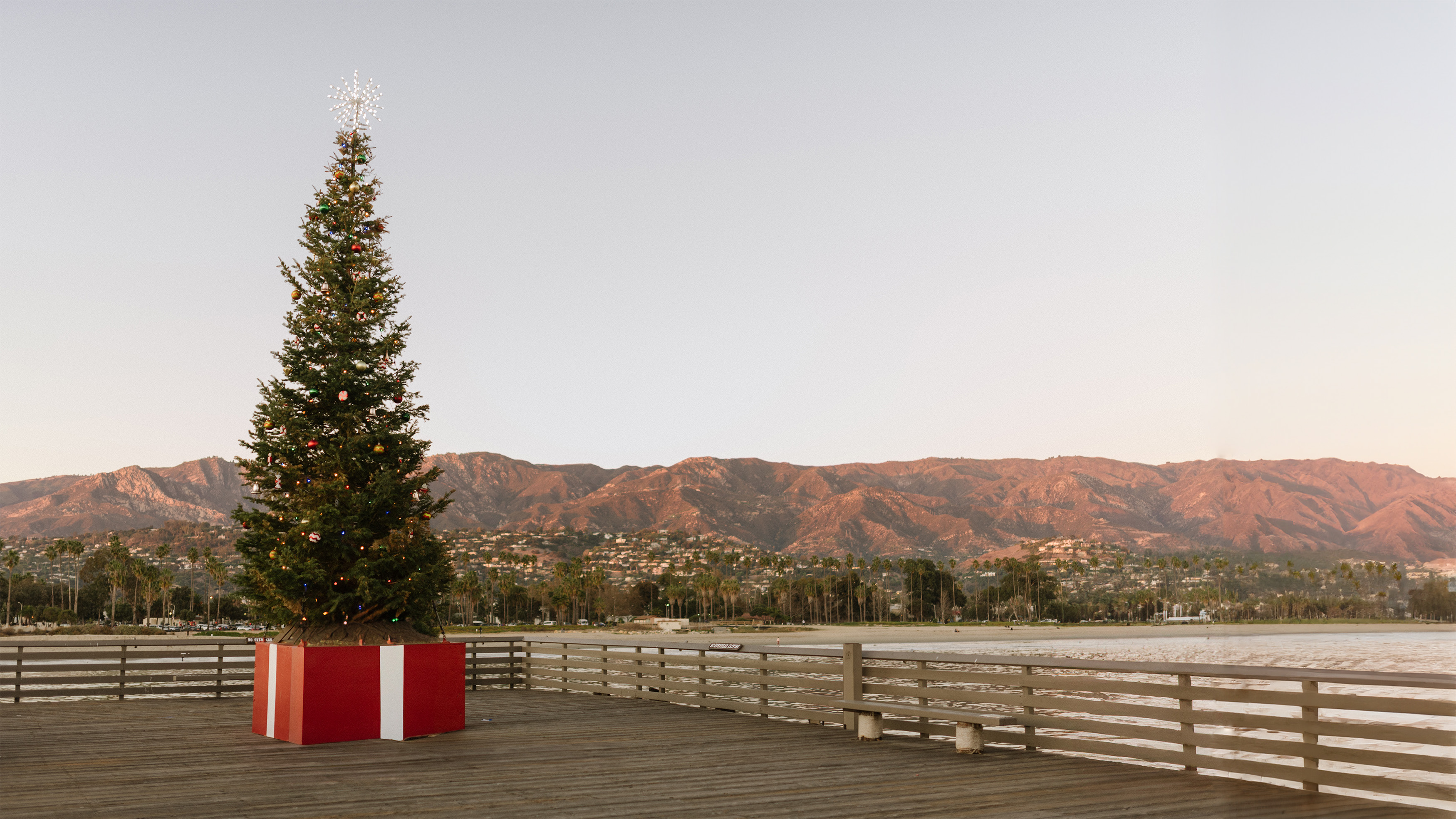 christmas tree on sterns wharf